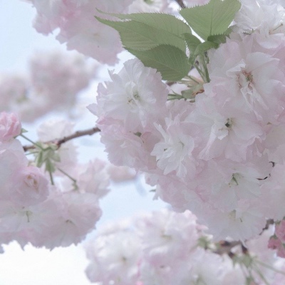 Furry角色比例设计技巧Furry群